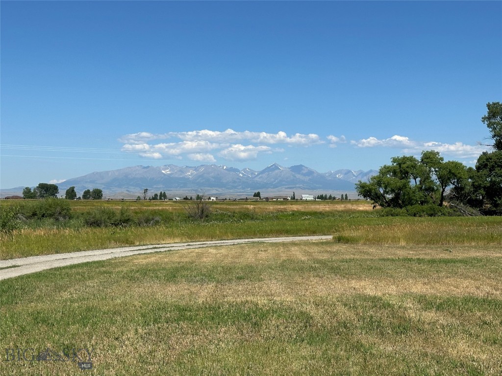 Yellowstone Meadows - Land