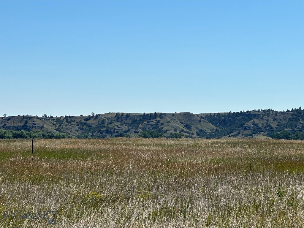 Yellowstone Meadows - Land