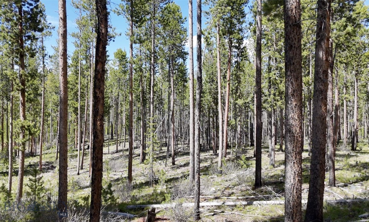 Discover a unique chance to claim 5 acres in the breathtaking mountain landscapes of southwest Montana. This private wooded lot features mature pines and plenty of buildable space. With underground power at the lot line and reliable, year-round access via dirt roads maintained and snowplowed by the HOA, this is the perfect home base for year-round adventure or investment property. Walk up the road into thousands of acres of National Forest, ideal for hiking, hunting, and exploring. Steps away from your front door, enjoy an 8-acre public park with peaceful walking trails, benches, a live stream, and a thriving beaver pond — a perfect place to unwind or spot wildlife, such as migratory birds & fish jumping. You’ll be surrounded by the best of Montana’s natural world — with frequent sightings of elk, deer, moose, black bears, beavers, and countless songbirds. Located just 10 minutes from Georgetown Lake, 20 minutes from Discovery Ski Area, and 15 minutes from Old Works Golf Course.
