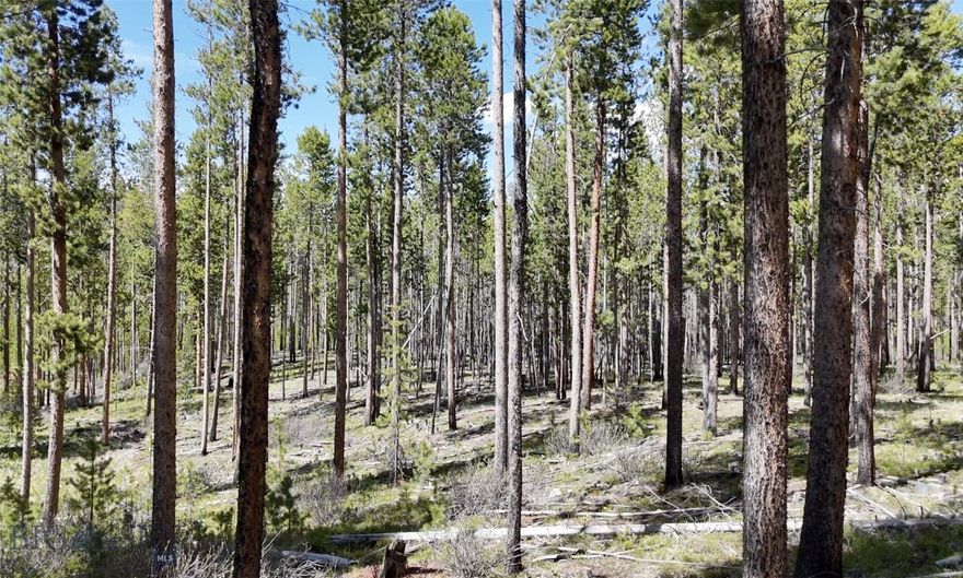 Discover a unique chance to claim 5 acres in the breathtaking mountain landscapes of southwest Montana. This private wooded lot features mature pines and plenty of buildable space. With underground power at the lot line and reliable, year-round access via dirt roads maintained and snowplowed by the HOA, this is the perfect home base for year-round adventure or investment property. Walk up the road into thousands of acres of National Forest, ideal for hiking, hunting, and exploring. Steps away from your front door, enjoy an 8-acre public park with peaceful walking trails, benches, a live stream, and a thriving beaver pond — a perfect place to unwind or spot wildlife, such as migratory birds & fish jumping. You’ll be surrounded by the best of Montana’s natural world — with frequent sightings of elk, deer, moose, black bears, beavers, and countless songbirds. Located just 10 minutes from Georgetown Lake, 20 minutes from Discovery Ski Area, and 15 minutes from Old Works Golf Course.