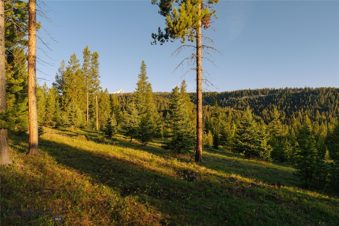 Spring Creek Reserve Neighborhood - Land