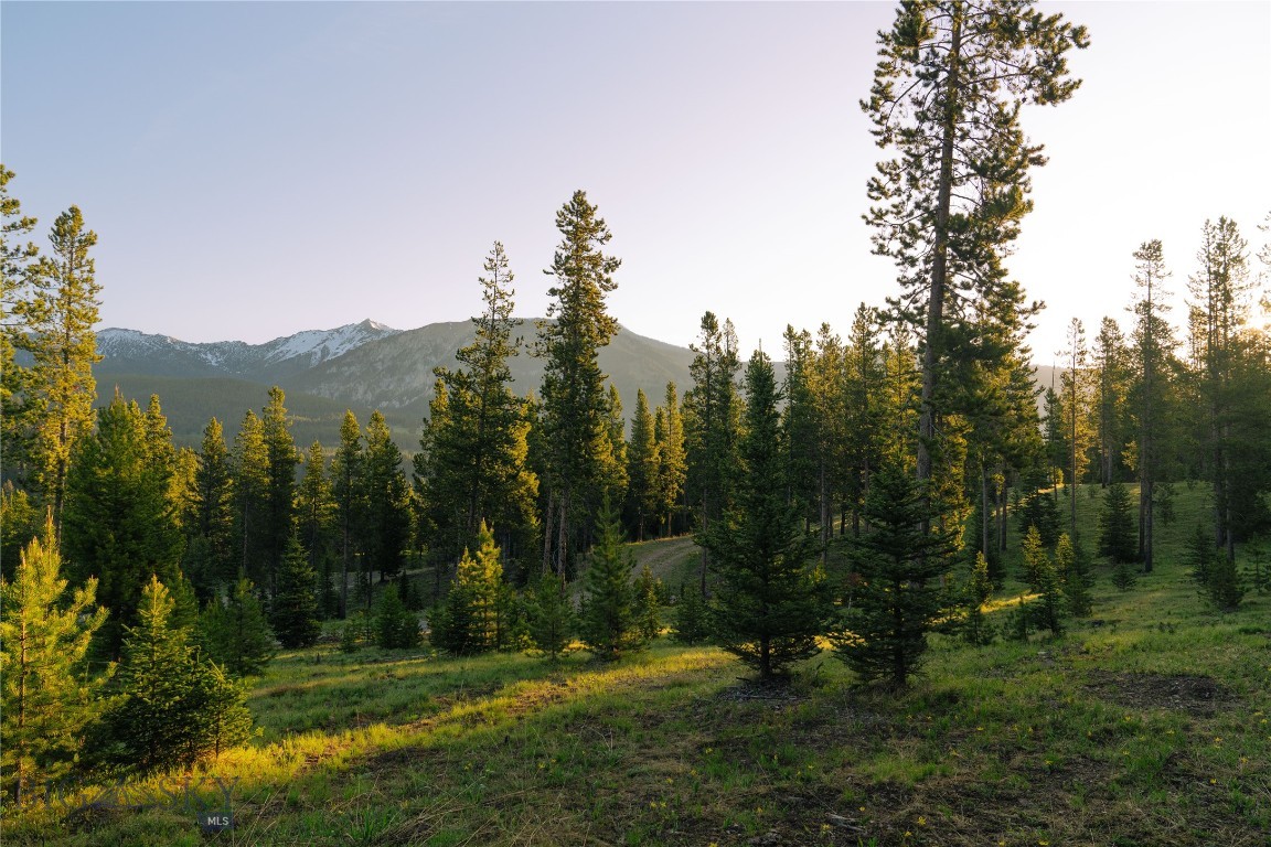 Spring Creek Reserve Neighborhood - Land