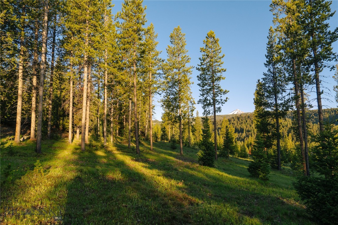 Spring Creek Reserve Neighborhood - Land