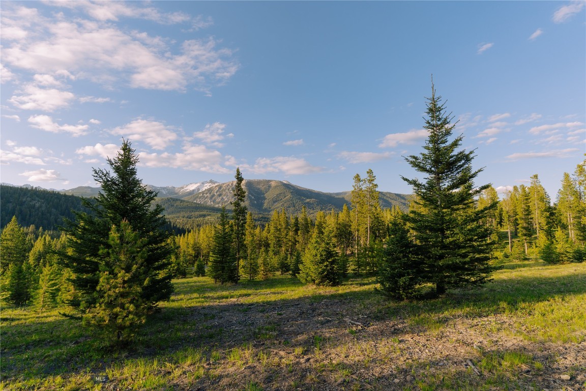 Spring Creek Reserve Neighborhood - Land