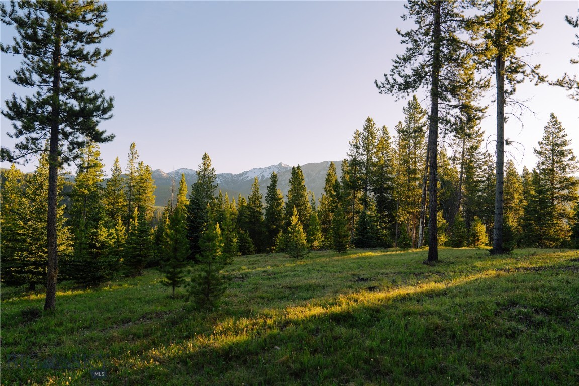 Spring Creek Reserve Neighborhood - Land