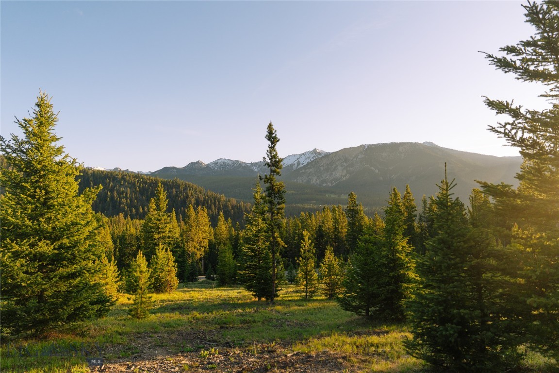 Spring Creek Reserve Neighborhood - Land