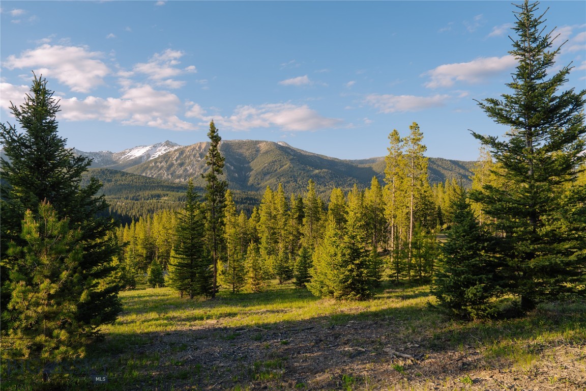 Spring Creek Reserve Neighborhood - Land