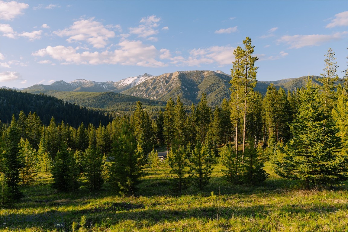 Lot 205 Outlook Trail