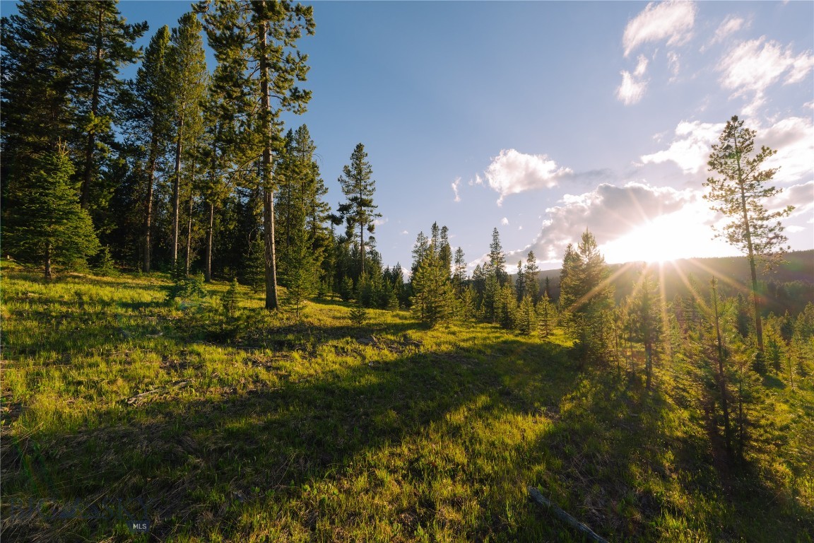 Spring Creek Reserve Neighborhood - Land