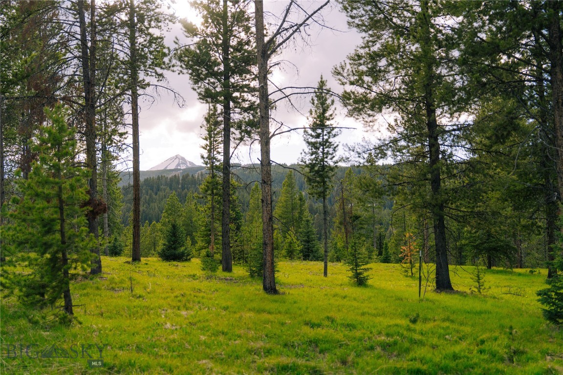 Spring Creek Reserve Neighborhood - Land