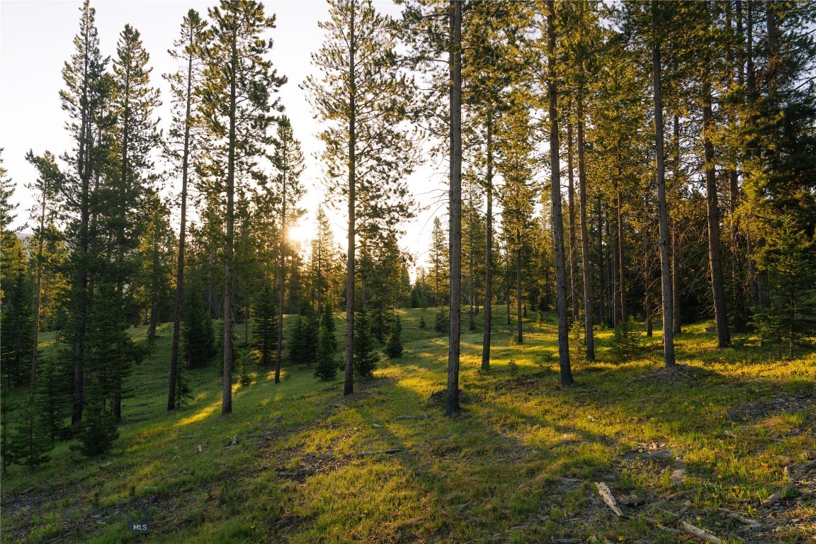 Spring Creek Reserve Neighborhood - Land