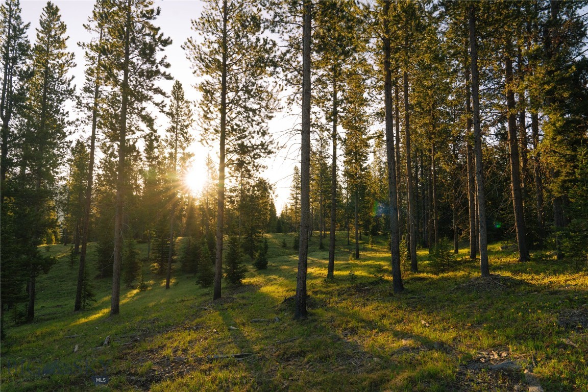 Lot 205 Outlook Trail