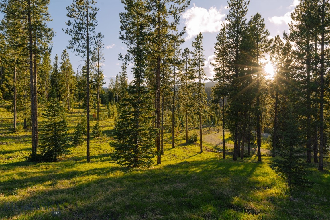 Spring Creek Reserve Neighborhood - Land