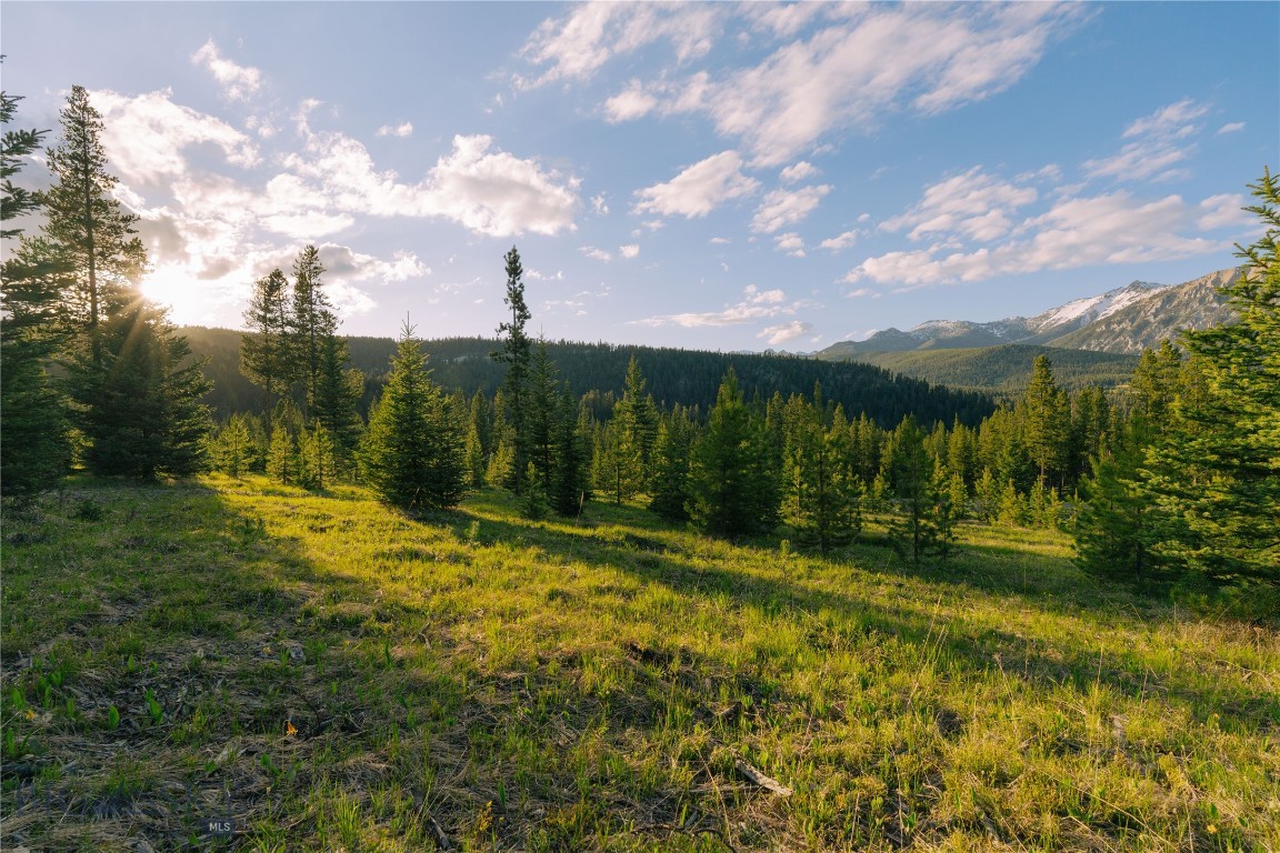 Spring Creek Reserve Neighborhood - Land