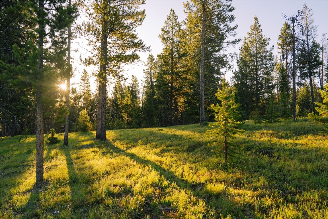 Spring Creek Reserve Neighborhood - Land