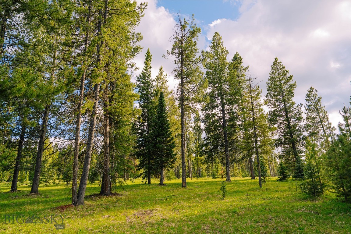 Spring Creek Reserve Neighborhood - Land