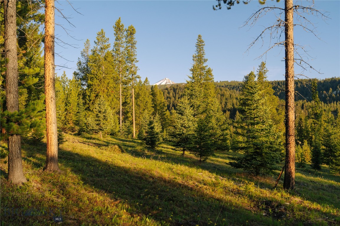 Spring Creek Reserve Neighborhood - Land