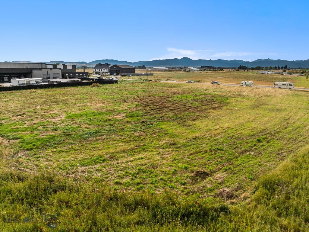 Nelson Meadows - Land