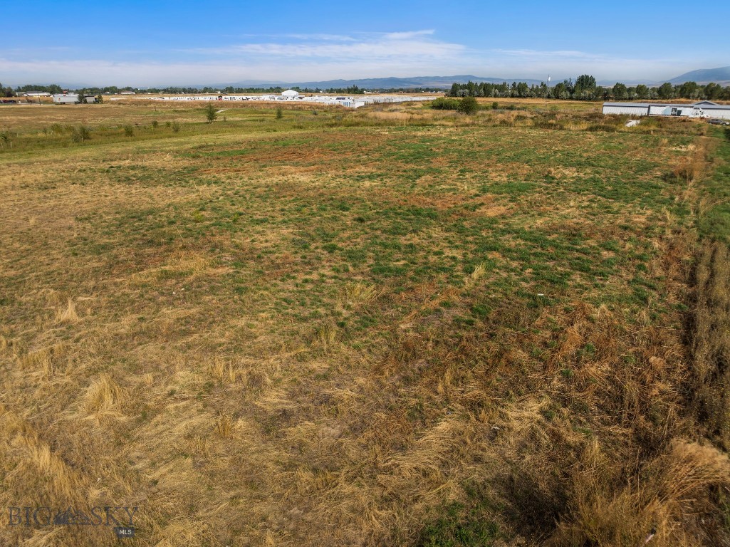 Nelson Meadows - Land