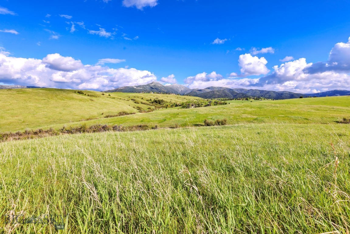Elk Run - Land