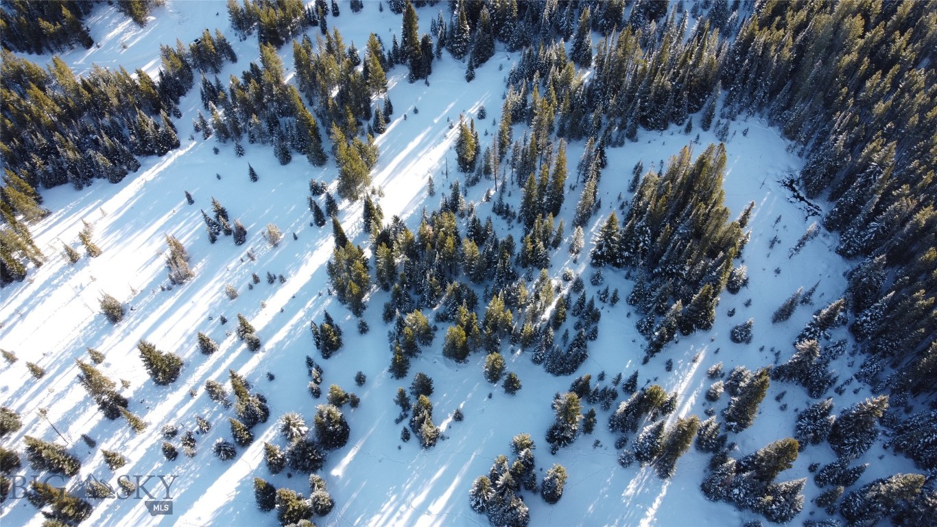 Buck Ridge Ranch - Land