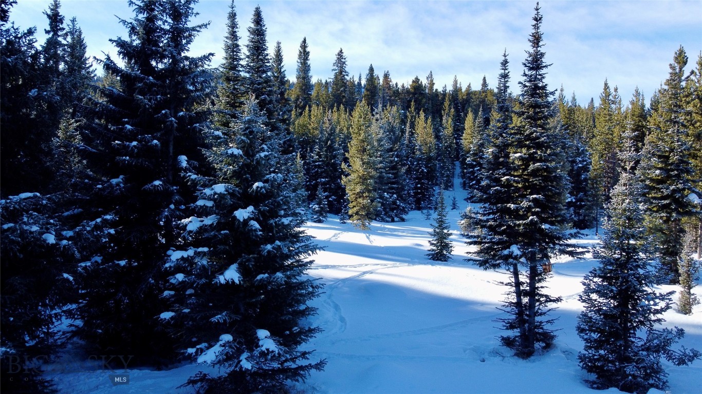 Buck Ridge Ranch - Land