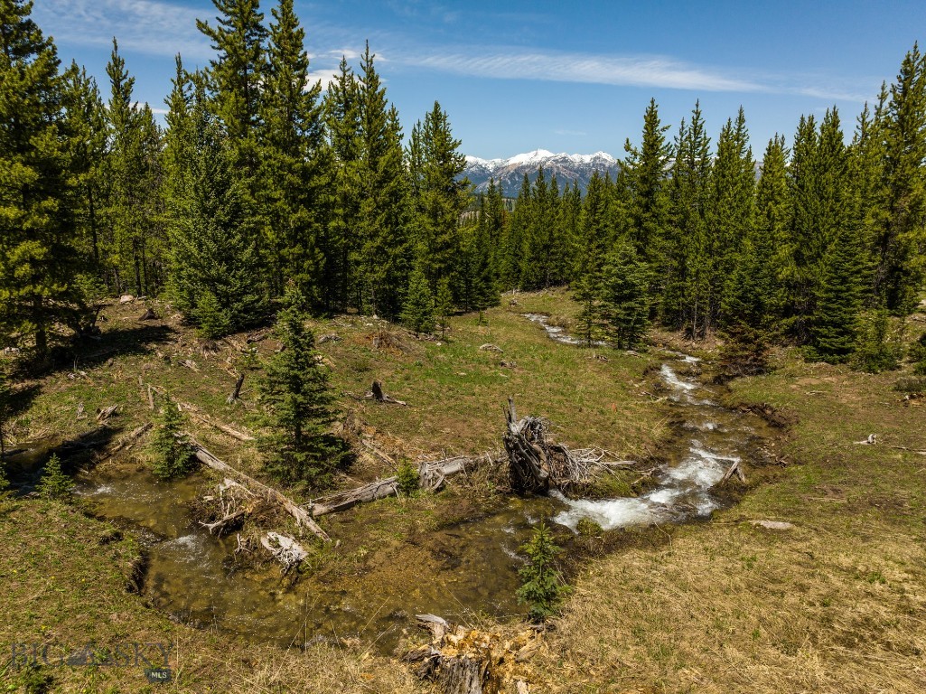 Buck Ridge Ranch - Land