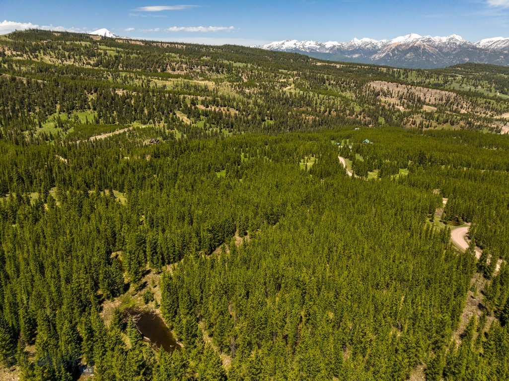 Buck Ridge Ranch - Land