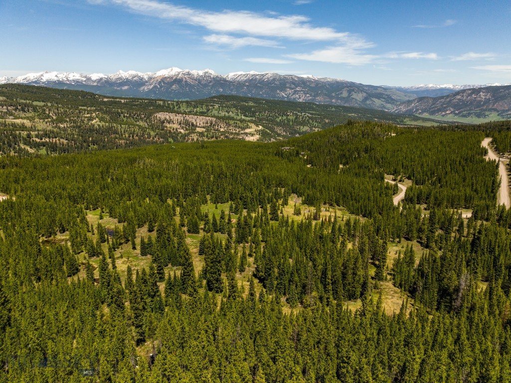 Buck Ridge Ranch - Land