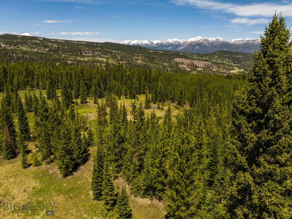 Buck Ridge Ranch - Land