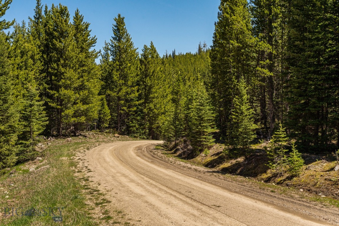 Buck Ridge Ranch - Land