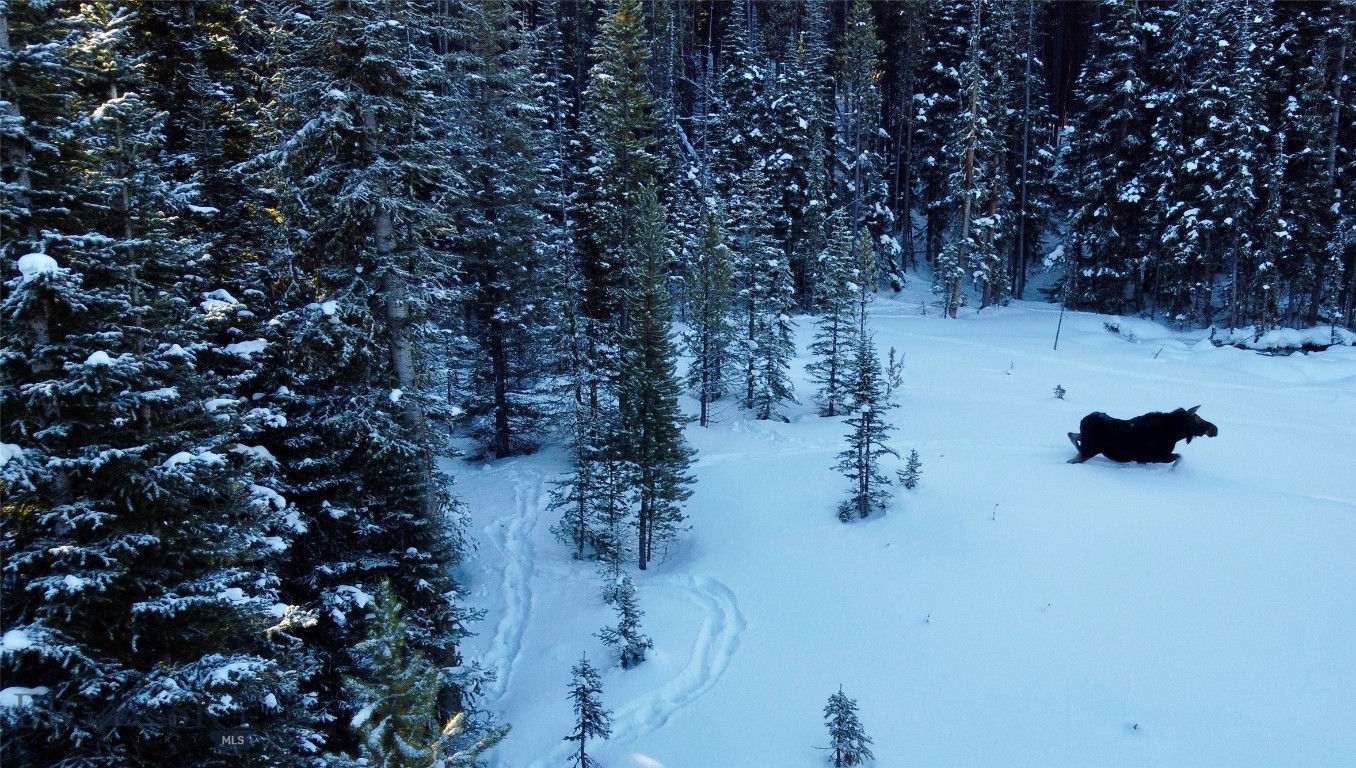 Buck Ridge Ranch - Land