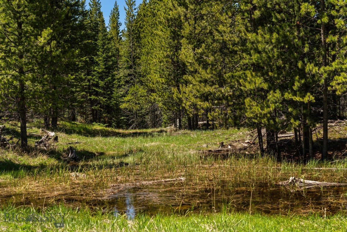 Buck Ridge Ranch - Land