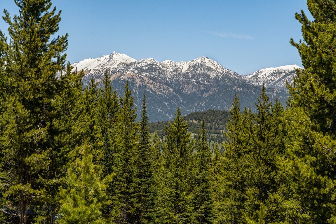 Buck Ridge Ranch - Land