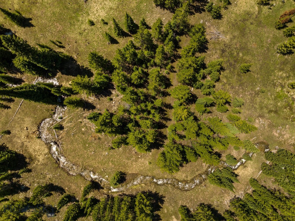 Buck Ridge Ranch - Land