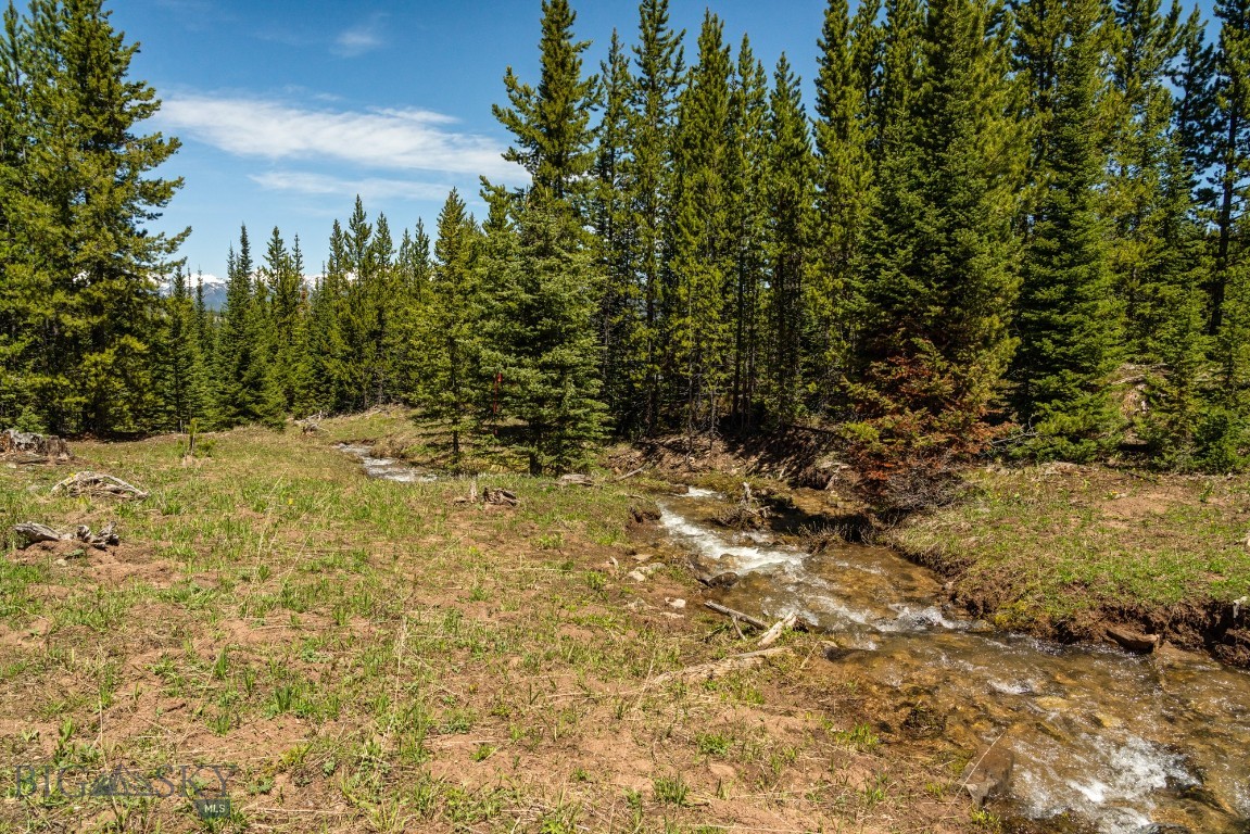 Buck Ridge Ranch - Land