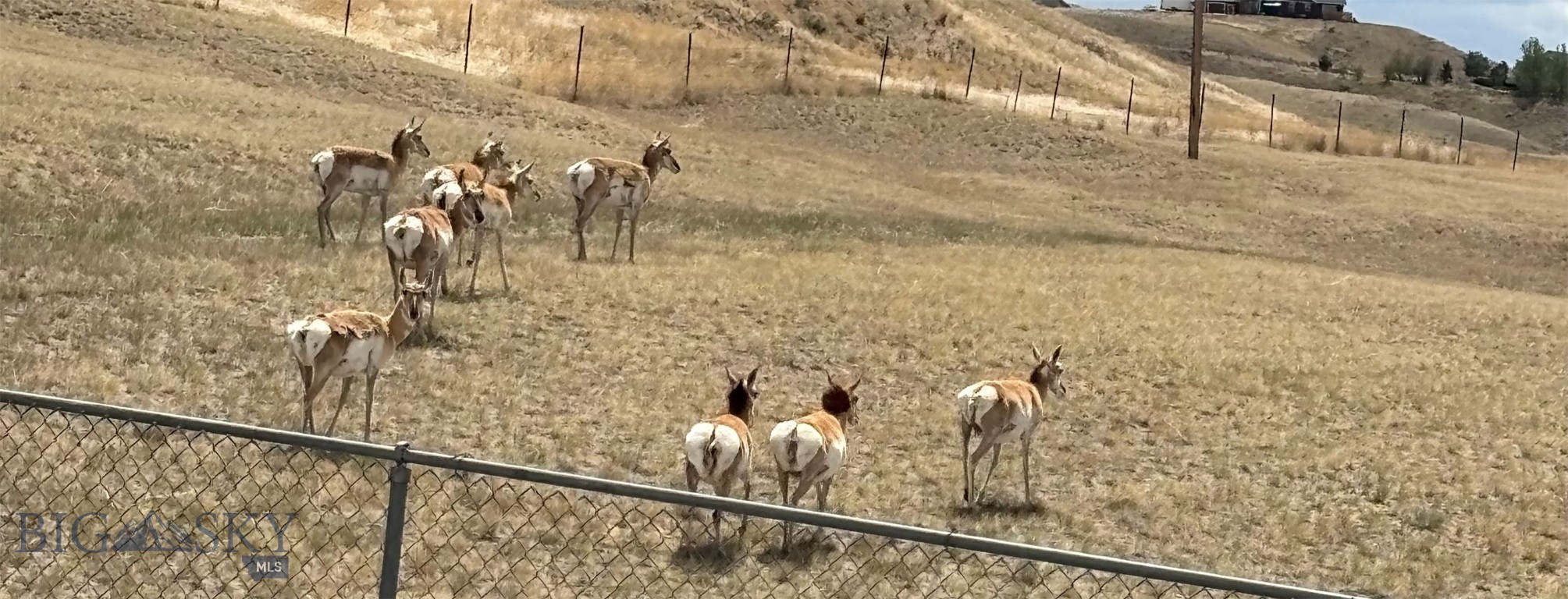 Fox Run in Dillon - Residential