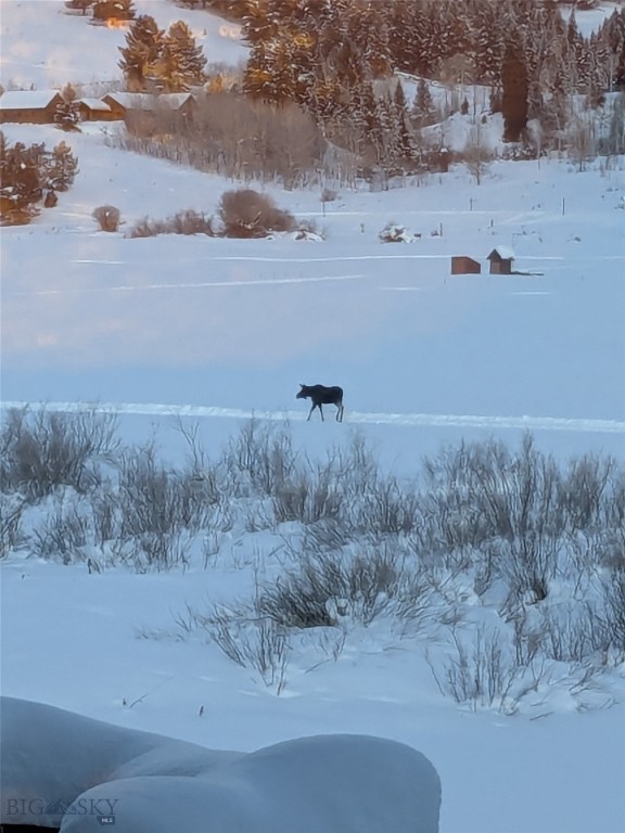 Meadow Village - Residential