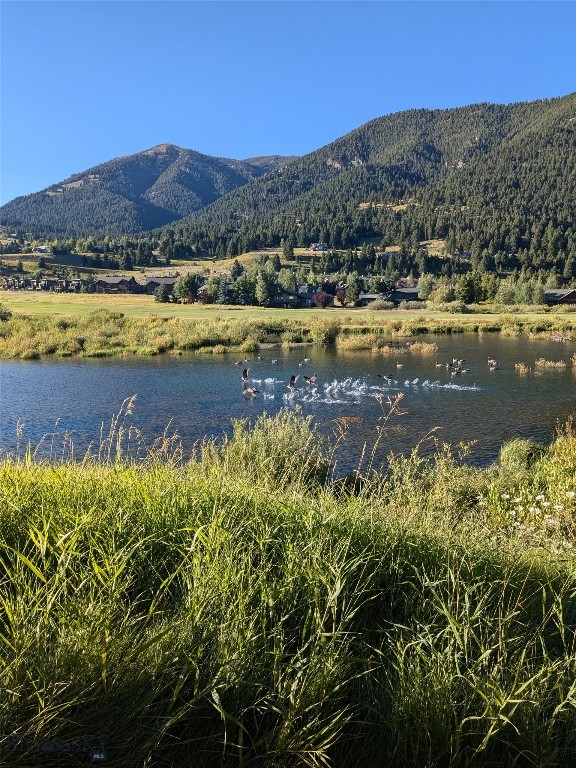 Meadow Village - Residential