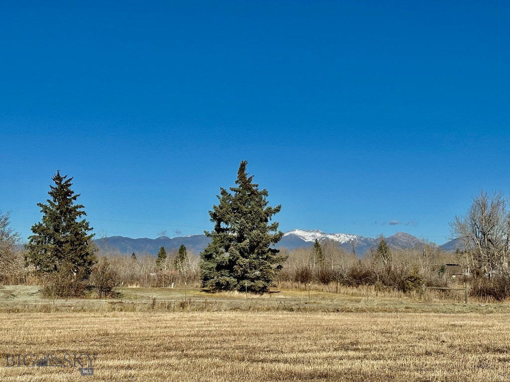 Other - Land