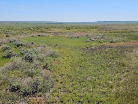 Photo of TBD Elk Creek Road, Winnett, MT 59087 (MLS # 411828)