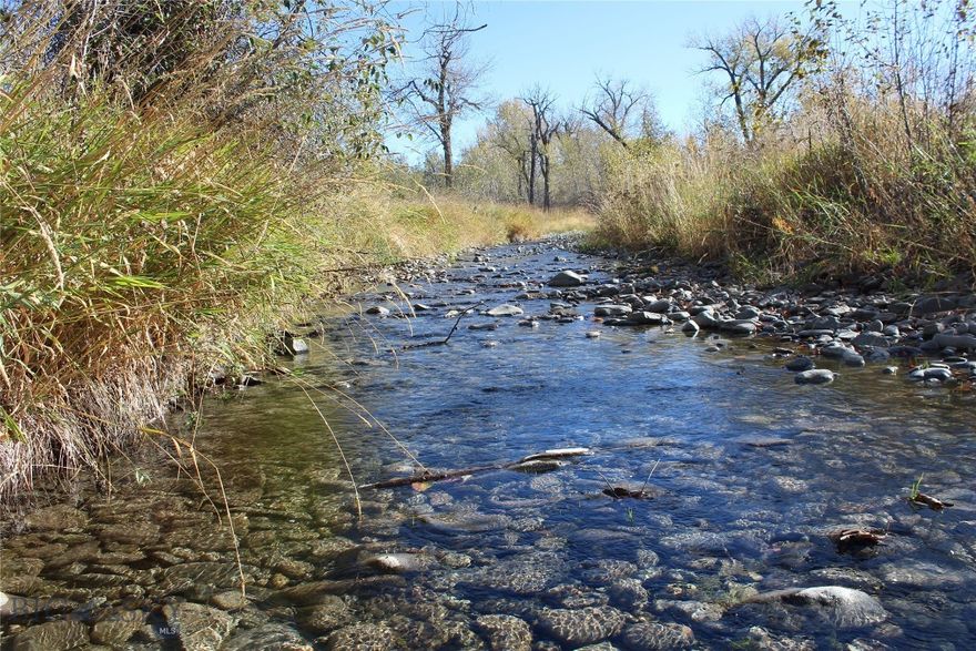 4.39 acres of Montana Beauty - Rock Creek Frontage Near Clyde Park. 

Escape to the peace and quiet setting of this stunning wooded retreat, bordered by Rock Creek on the south side.
Nestled among the mature pine, cottonwood and aspen groves, this property offers a truly tranquil setting for your dream home or cabin. Just minutes from Clyde Park, you'll enjoy the charm of small-town Montana living with easy access to outdoor recreation, fishing, hunting and the scenic Shields River Valley.