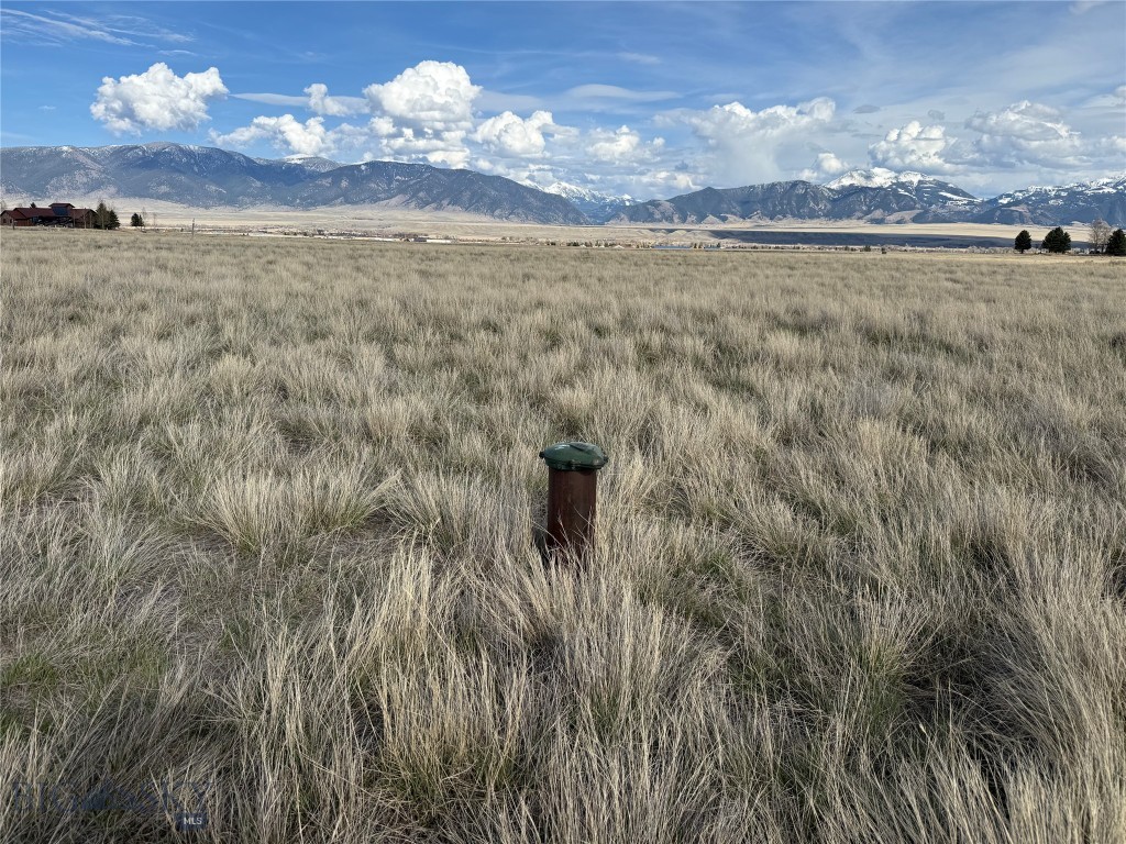 Pintail Ridge - Land