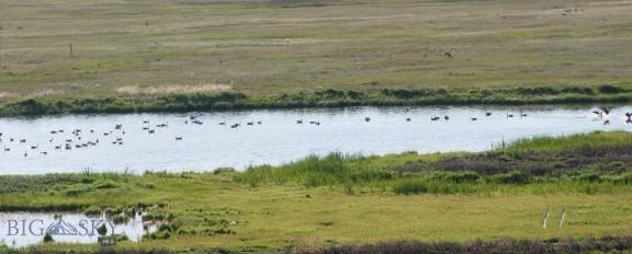 Pintail Ridge - Land