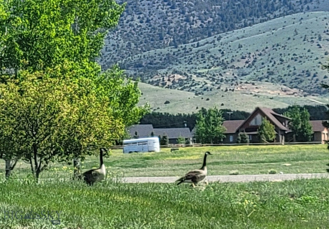 Homestead Major Sub - Residential