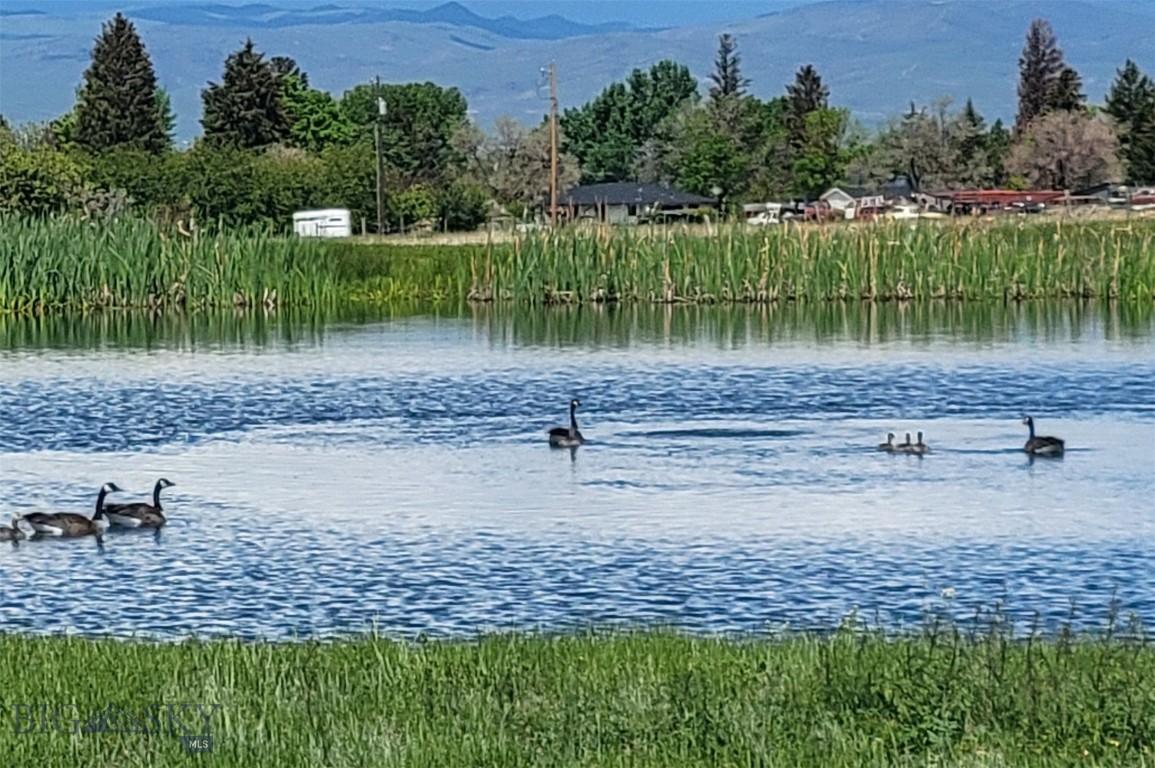 Homestead Major Sub - Residential