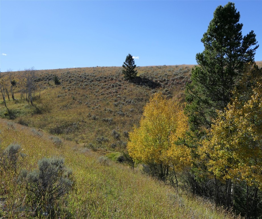 Big Sky, Montana 59716, United States, ,Land,Active,68749