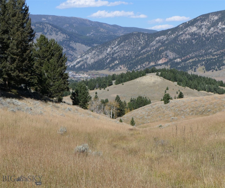 Big Sky, Montana 59716, United States, ,Land,Active,68749