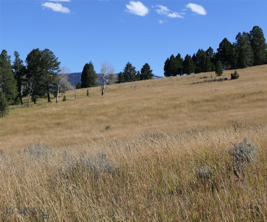 Big Sky, Montana 59716, United States, ,Land,Active,68749