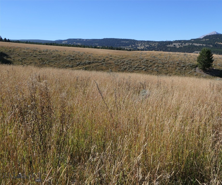 Big Sky, Montana 59716, United States, ,Land,Active,68749
